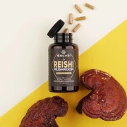 reishi-kapsulki.webp