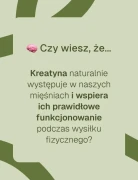 czy-wiesz-ze-kreatyna-mesh-biowen.webp