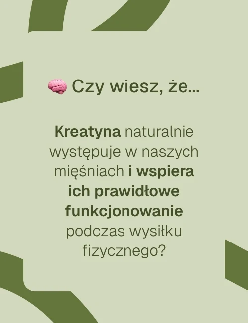 czy-wiesz-ze-kreatyna-mesh-biowen.webp